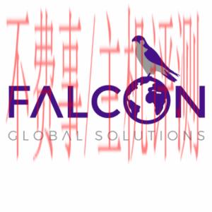 Globe logo - Falcon Global Solutions