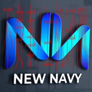 N logo - New Navy
