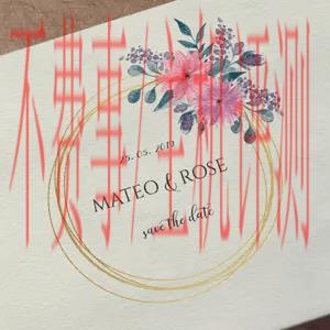 Mateo & Rose Wedding logo
